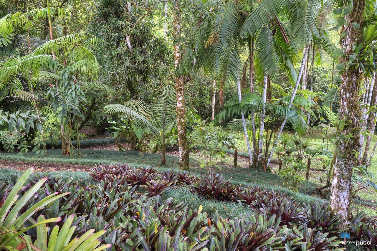 Estacion Biologica Las Cruces Y Jardin Botanico Wilson San Vito Exterior foto