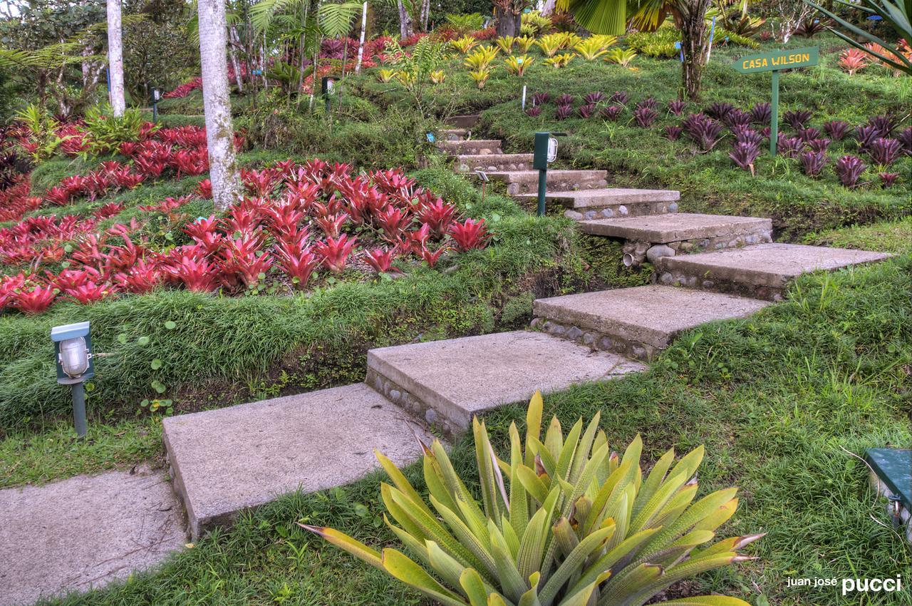 Estacion Biologica Las Cruces Y Jardin Botanico Wilson San Vito Exterior foto