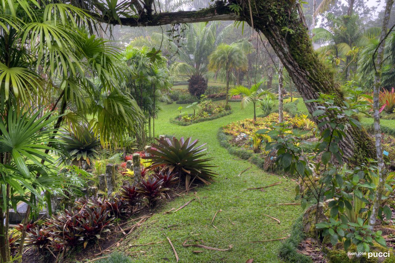 Estacion Biologica Las Cruces Y Jardin Botanico Wilson San Vito Exterior foto